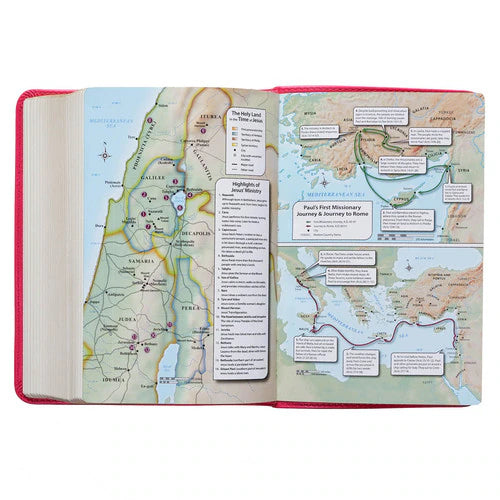 Pink Faux Leather Large Print Compact King James Version Bible