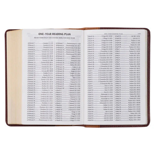Saddle Tan & Butterscotch Large Print Compact Bible (KJV)