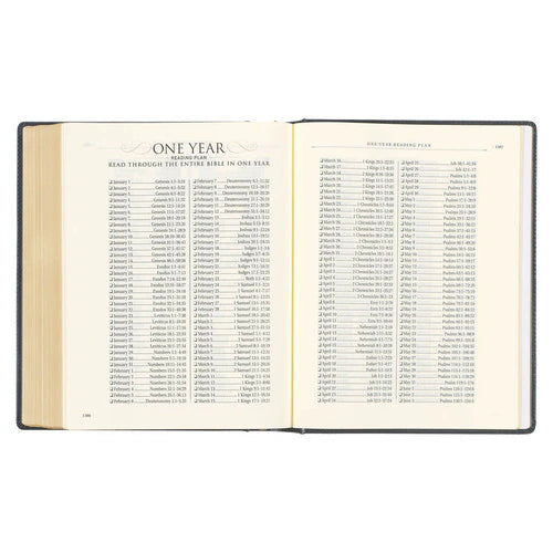 Iron Gray Faux Leather Large Print Note Taking Bible (KJV) - Hardcover