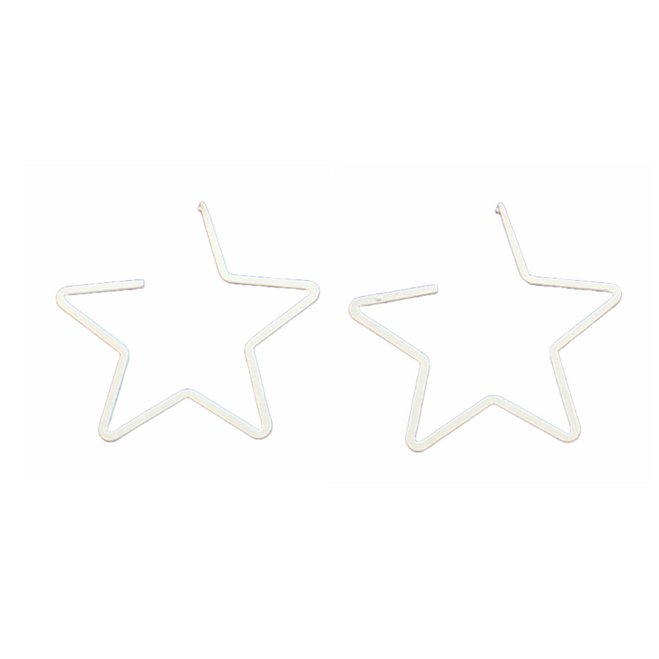 Blazin Roxx Women's Star Earrings (Silvertone)